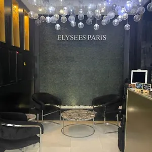 Отель Elysees